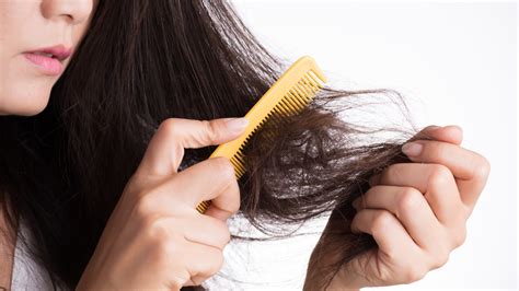 Hair damage. Things To Know About Hair damage. 